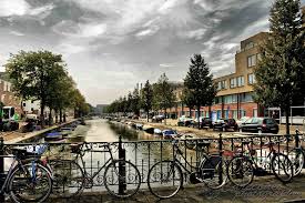 Ontdek de Schoonheid van Den Haag Zuid: Een Verborgen Juweel in de Hofstad