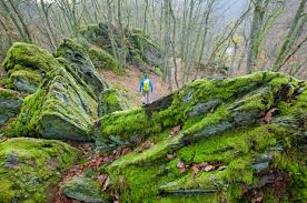 Verken de Schoonheid van Wandelen in de Ardennen