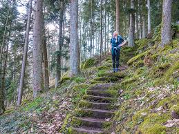 Wandelen door de betoverende natuur van het Zwarte Woud