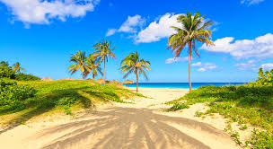 Ultieme Ontspanning: Geniet van een Heerlijke Strandvakantie!