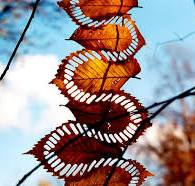 natuur kunst